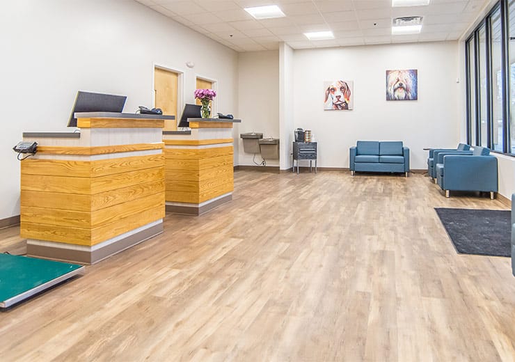 Oak Heart Veterinary Hospital front desk and couches