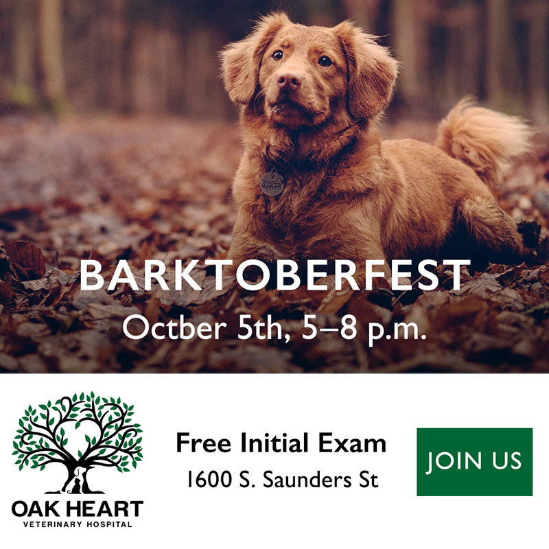 Oak Heart South Saunders Barktoberfest ad