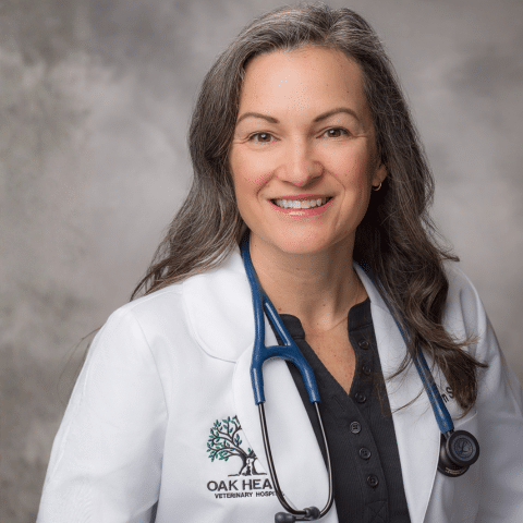 Dr. Ellyn Saywer